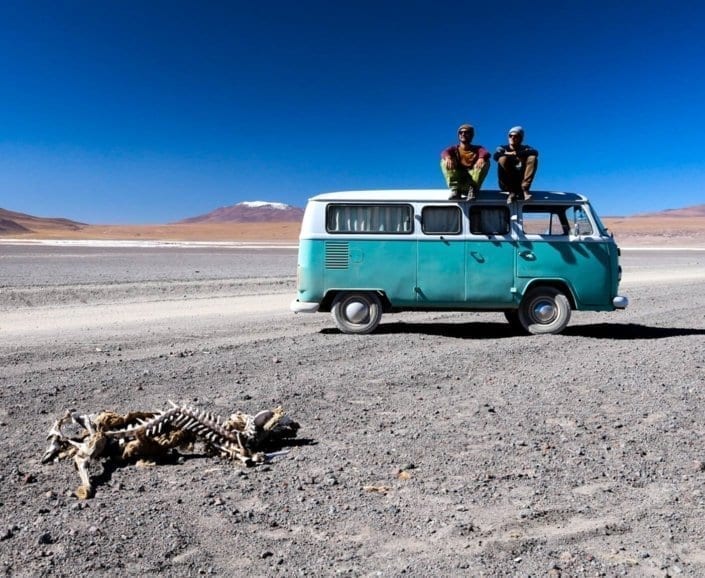 vw-t2-bus-bulli-kaufen-volkswagen-transporter-oldtimer-bully-camper-westfalia-van-i-come-around-doka-gebraucht-samba-3