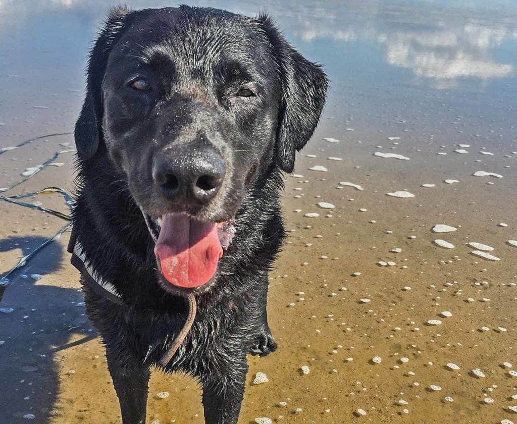 fiat-ducato-290-wohnmobil-kastenwagen-forum-camper-ausbau-ersatzteile-pössl-vanlife-passport-diary-reiseblog-8 fiat-ducato-290-wohnmobil-kastenwagen-forum-camper-ausbau-ersatzteile-pössl-vanlife-passport-diary-reiseblog-8