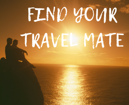 reisepartner-finden-vanlife-passport-diary