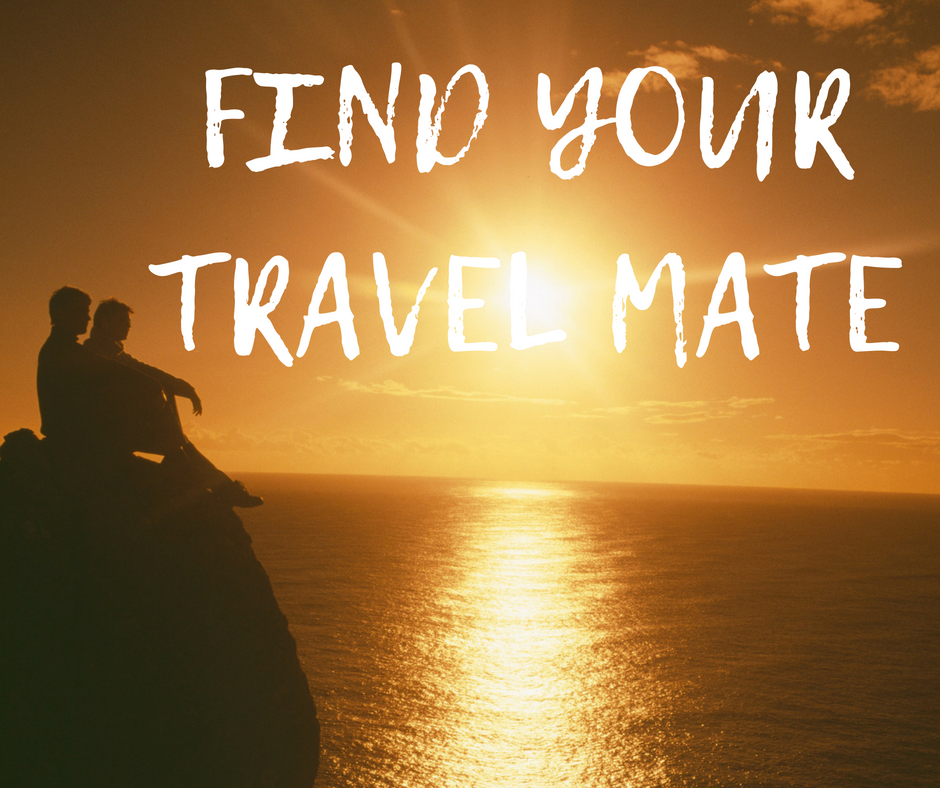 reisepartner-finden-vanlife-passport-diary reisepartner-finden-vanlife-passport-diary