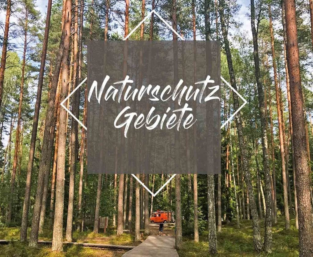 naturschutzpark-lettland-reise