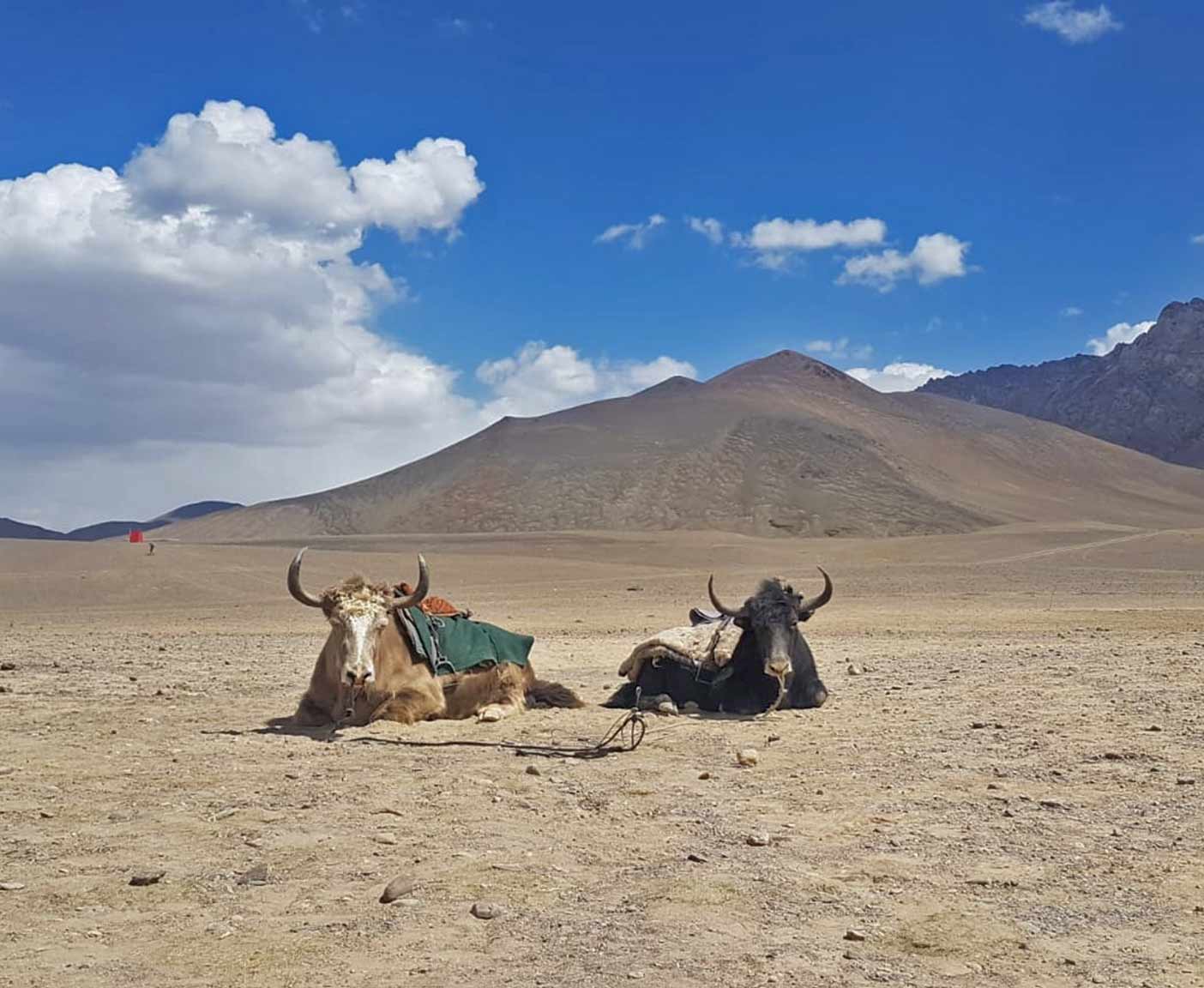 pamir-highway-weltreise-toyota-lndcruiser-hjz-75 pamir-highway-weltreise-toyota-lndcruiser-hjz-75