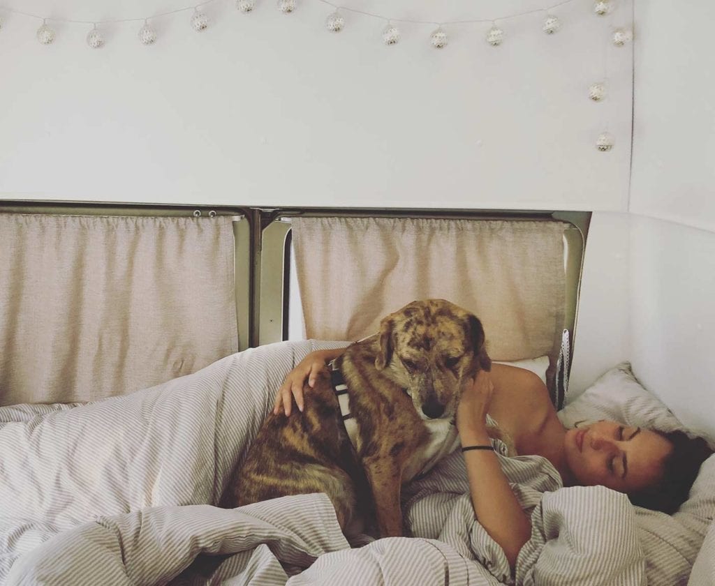 LT-28-Florida-wohnmobil-vw-pritsche-hochdach-hund-reise-innenausbau-bett-lichterkette-van