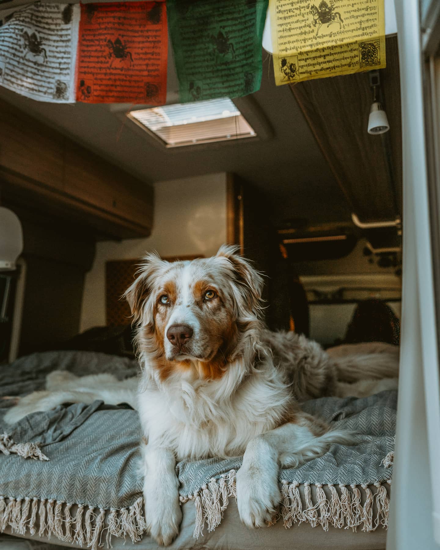 Sunlight-Cliff-640-XV-vanconversion-wohnmobil-ausbau-kaufen-reisen-4