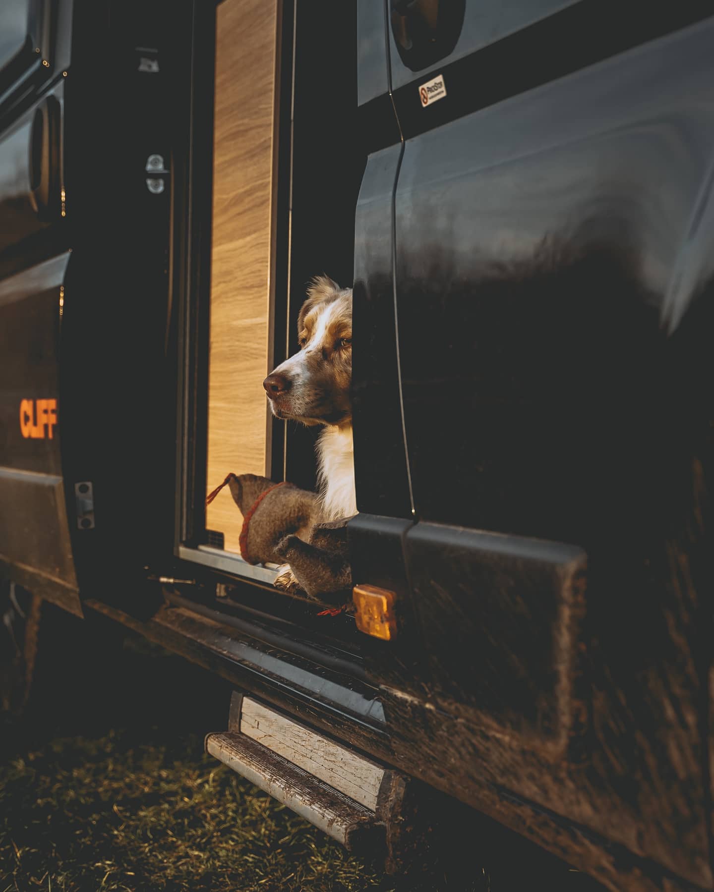 Sunlight-Cliff-640-XV-vanconversion-wohnmobil-ausbau-kaufen-reisen-5