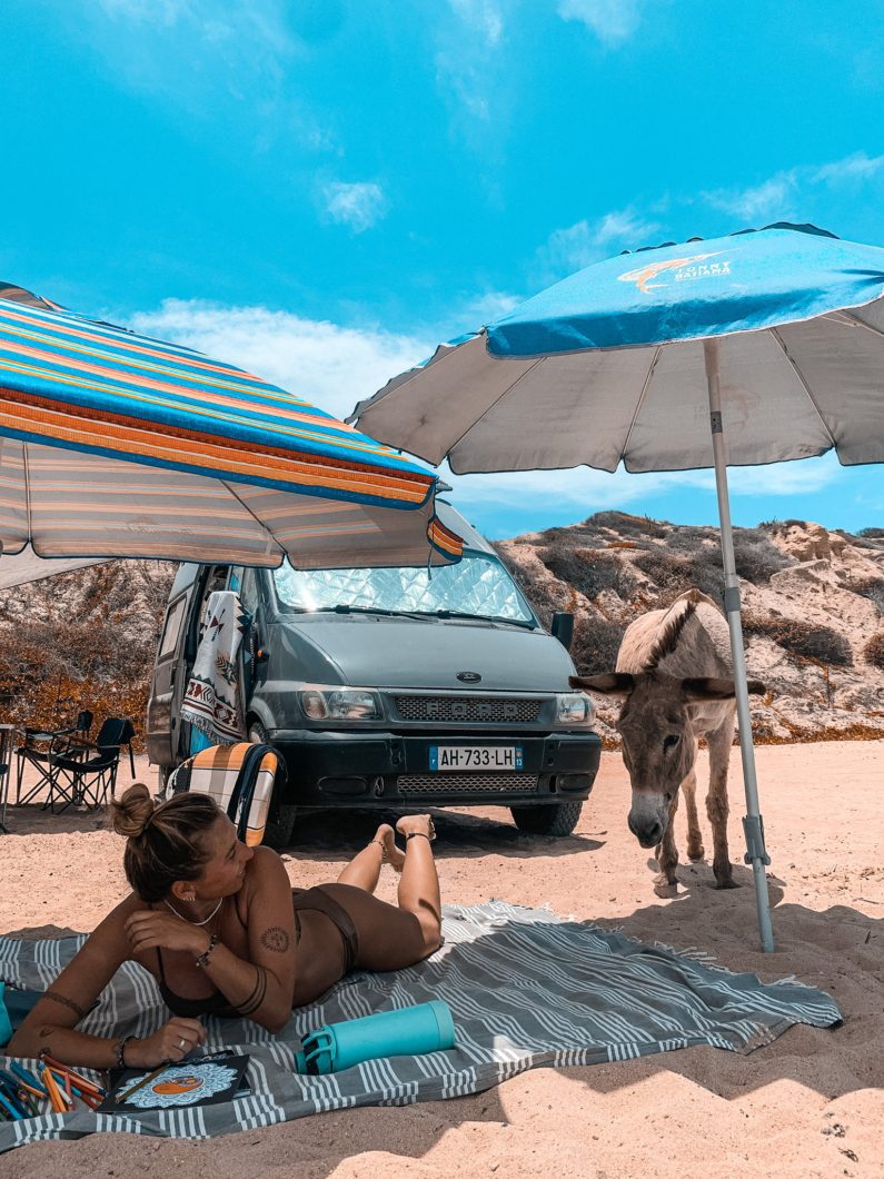 ford-transit-amenage